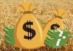 agricultural value chain finance