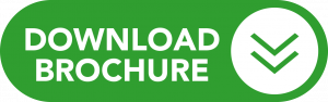 Brochure _ Agricultural Market Systems Development